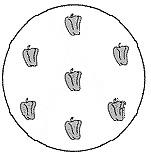 Preguntas ingenuas pero no tan ingenuas: La pizza de pimientos